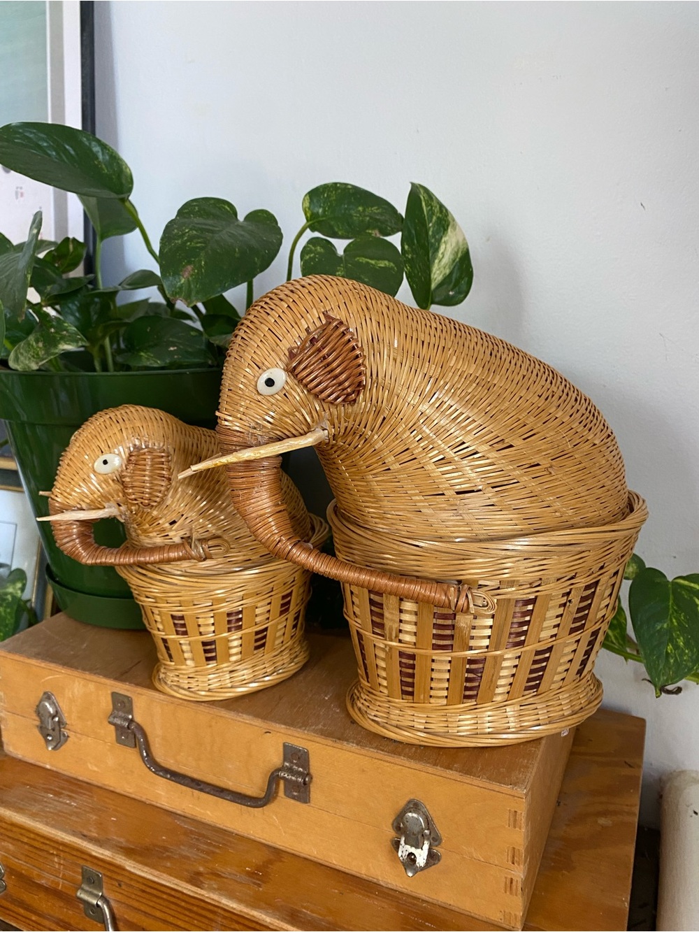 Vintage Woven Rattan Elephant Basket Set - Natural